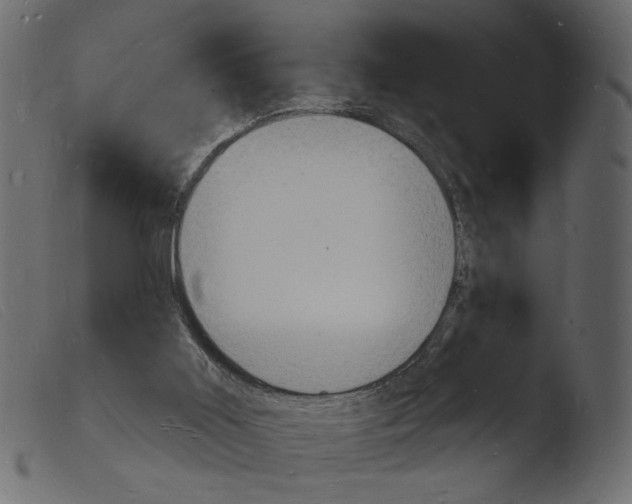 X0000103970011200810101319