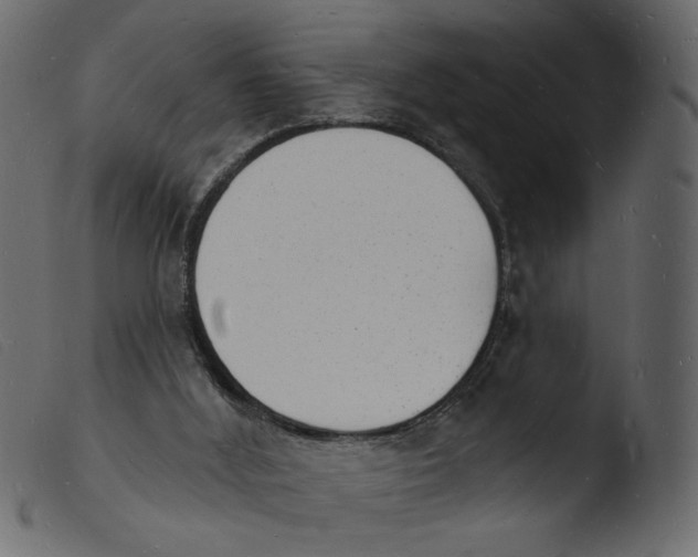 X0000103970012200810101319