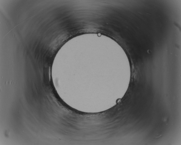 X0000103970013200810101319