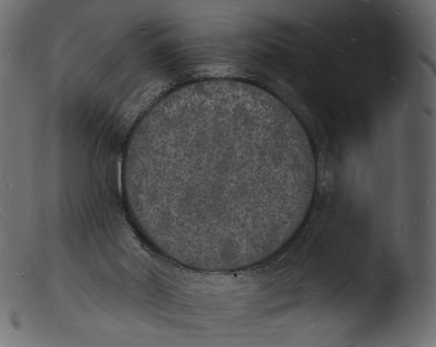 X0000103970014200810101319