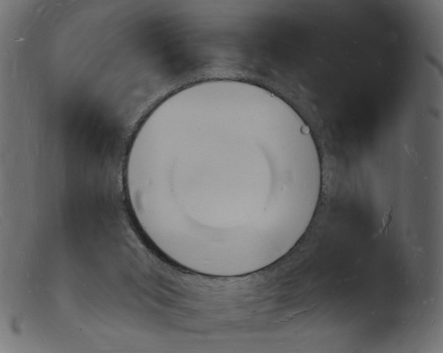 X0000103970015200810101319