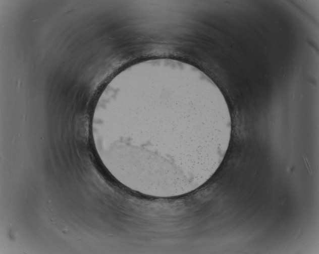 X0000103970016200810101319