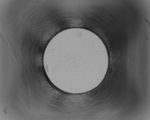 X0000103970017200810101319