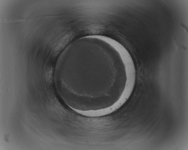 X0000103970018200810101319