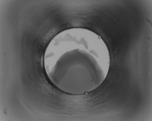 X0000103970019200810101319