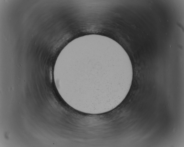 X0000103970020200810101319