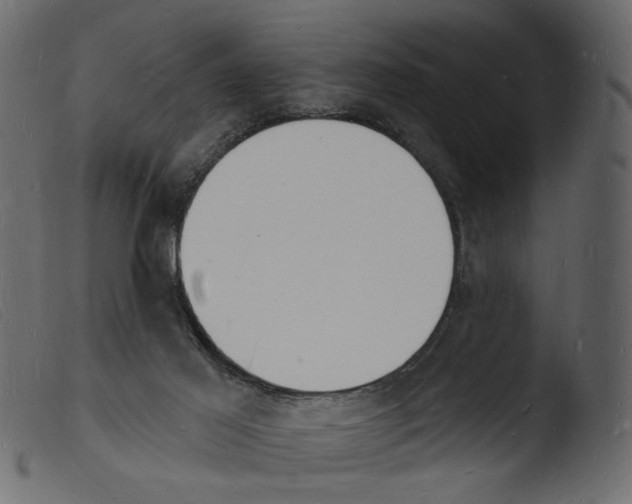 X0000103970021200810101319