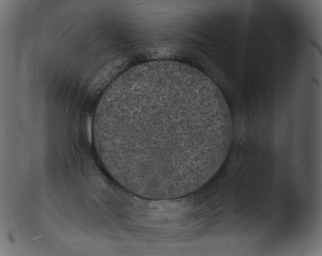 X0000103970022200810101319