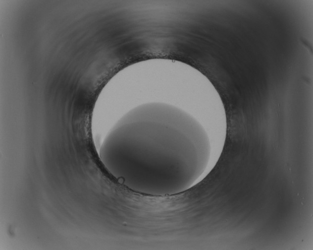 X0000103970023200810101319