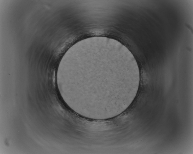 X0000103970024200810101319