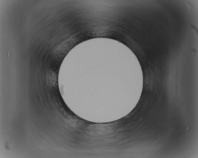 X0000103970025200810101319