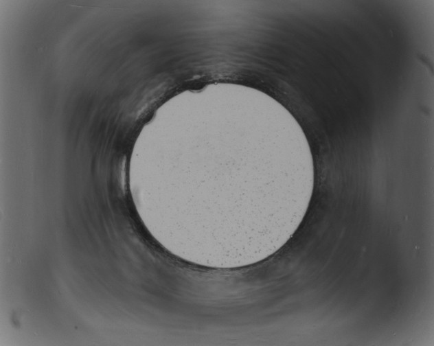 X0000103970028200810101319