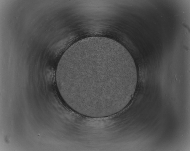 X0000103970029200810101319