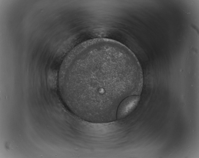 X0000103970030200810101319