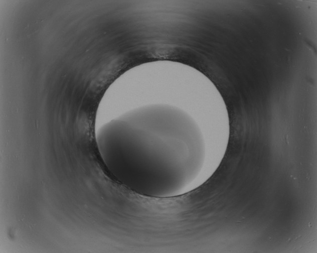 X0000103970031200810101319