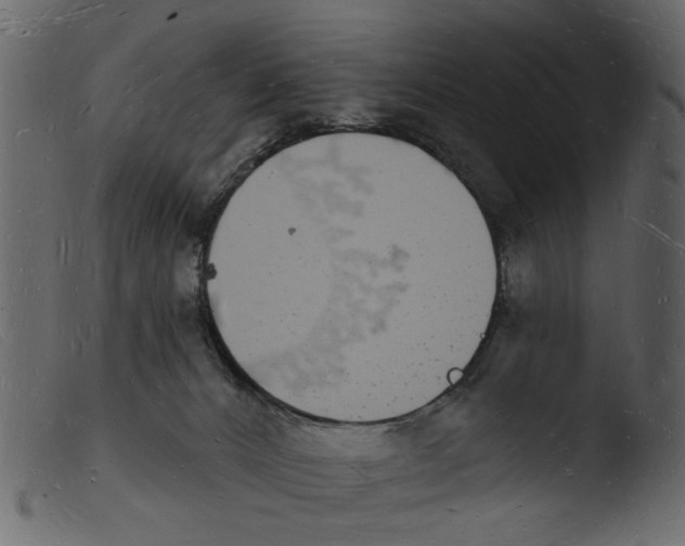 X0000103970032200810101319