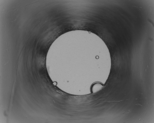 X0000103970033200810101319