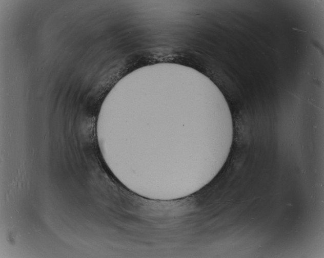 X0000103970034200810101319