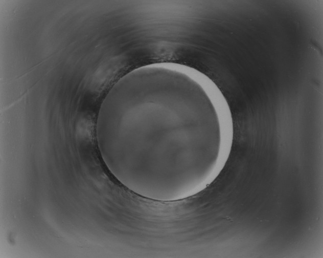 X0000103970035200810101319