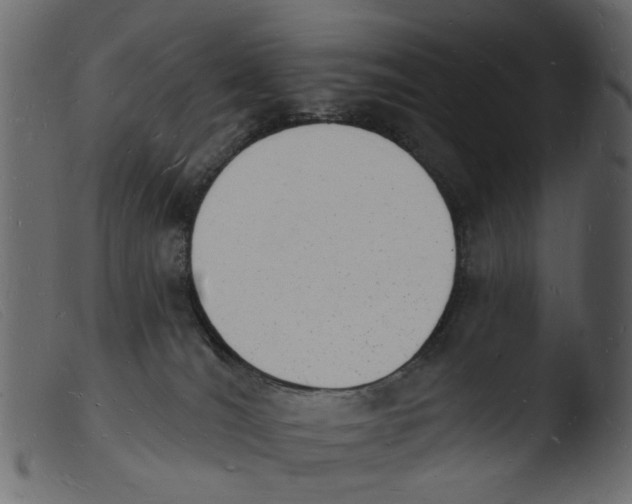 X0000103970036200810101319