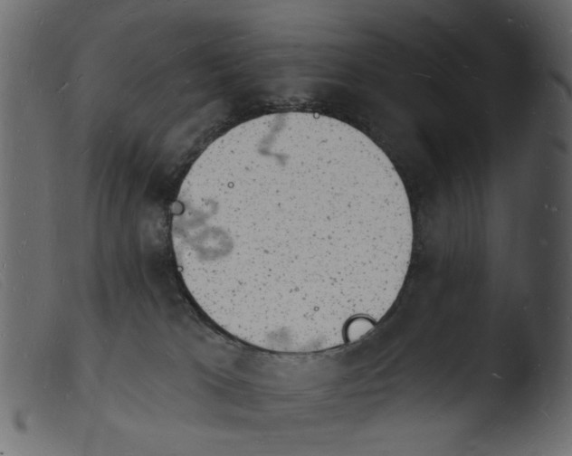 X0000103970037200810101319