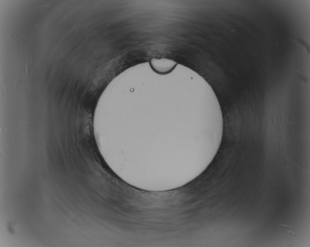 X0000103970038200810101319