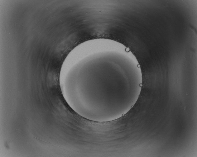 X0000103970039200810101319