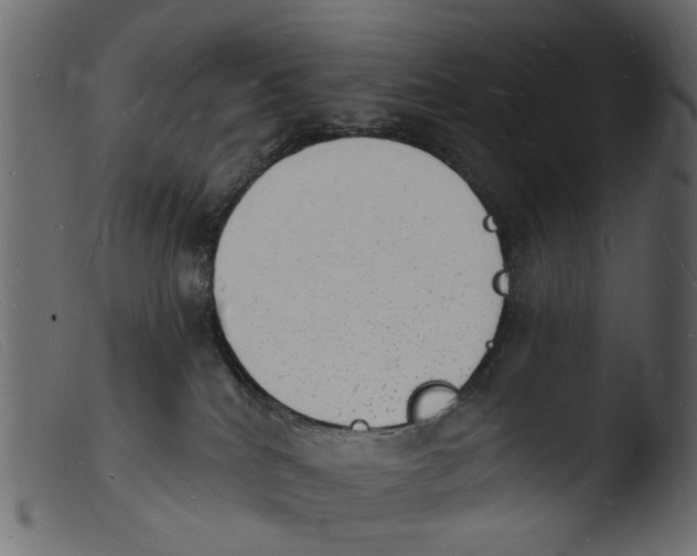 X0000103970040200810101319