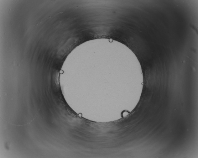 X0000103970041200810101319