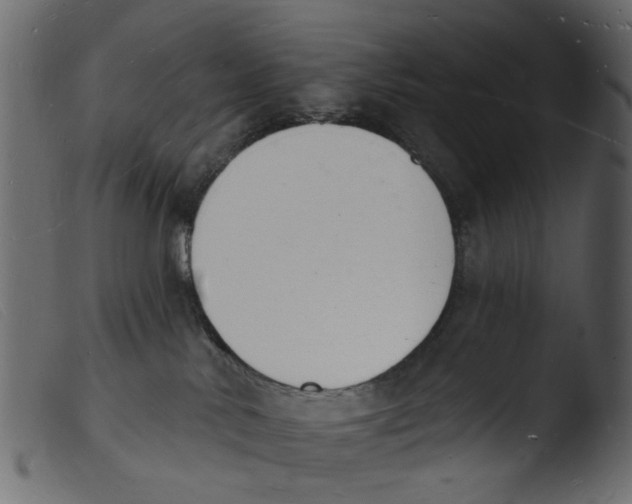 X0000103970042200810101319