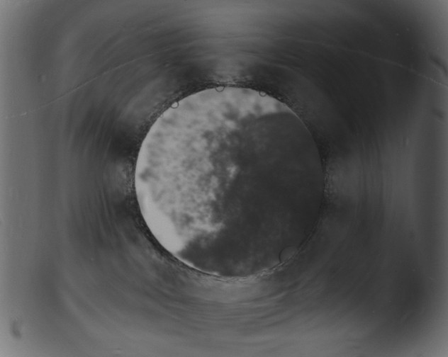 X0000103970043200810101319