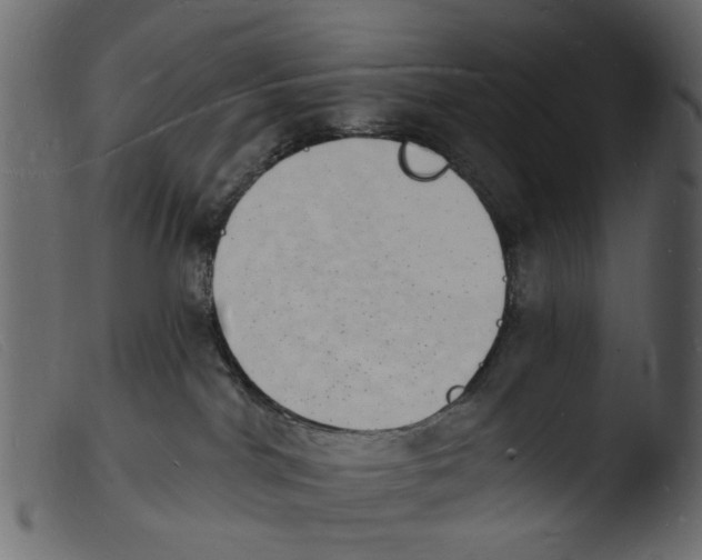 X0000103970044200810101319