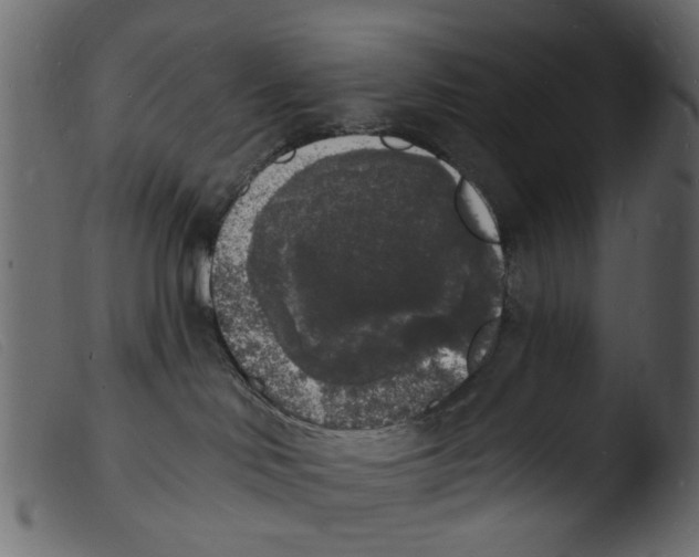 X0000103970046200810101319