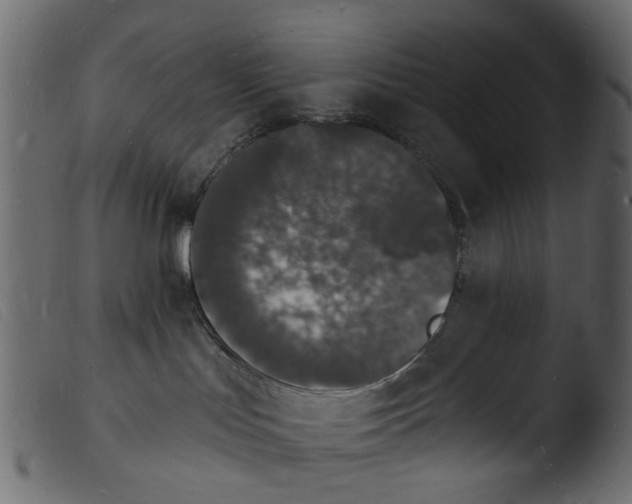 X0000103970047200810101318