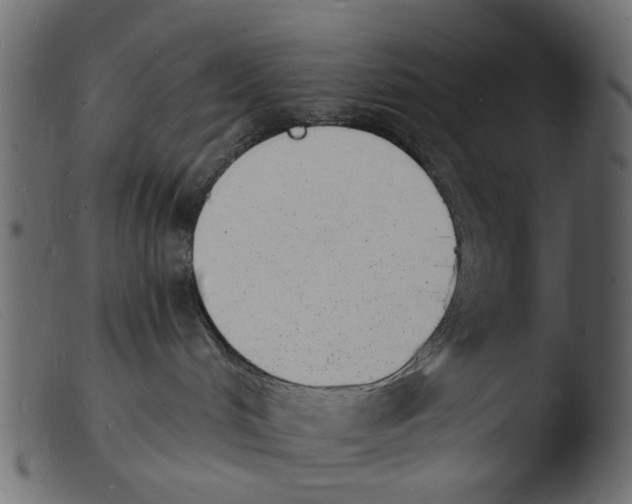 X0000103970048200810101318