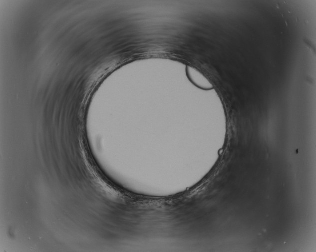 X0000103970049200810101318