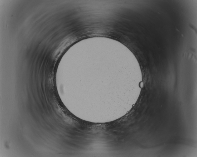 X0000103970050200810101318