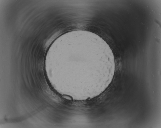 X0000103970051200810101318