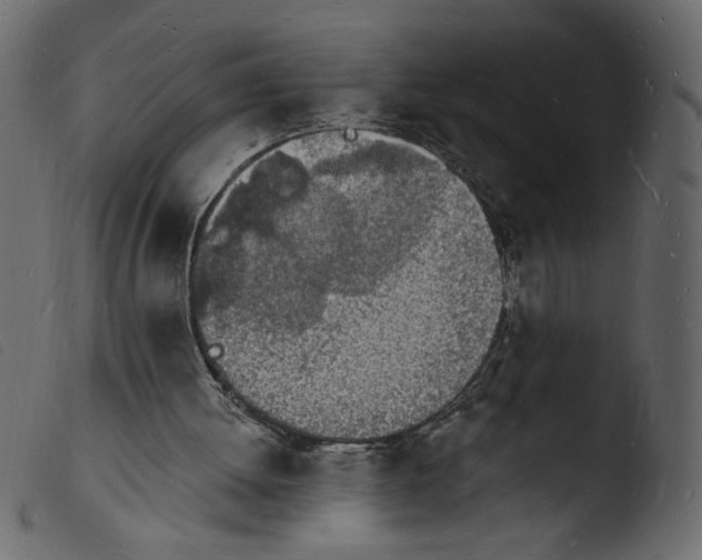 X0000103970052200810101318