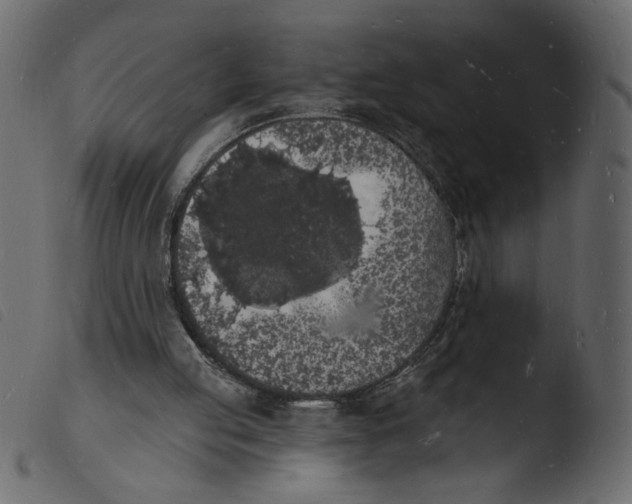 X0000103970053200810101318