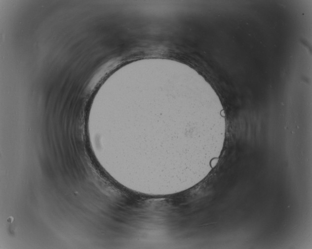 X0000103970054200810101318