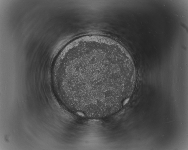 X0000103970055200810101318