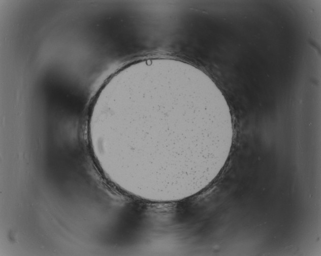 X0000103970056200810101318