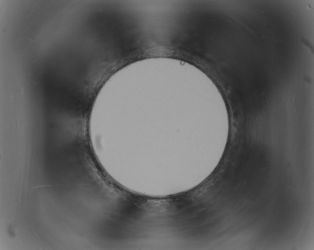 X0000103970057200810101318