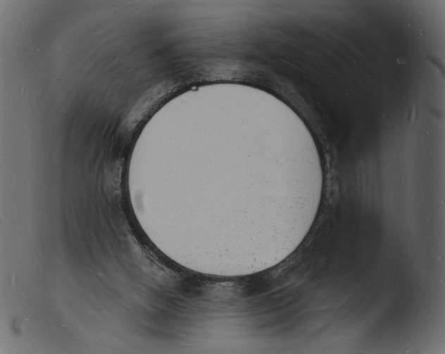 X0000103970058200810101318