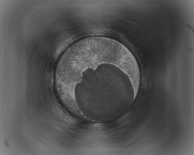 X0000103970059200810101318