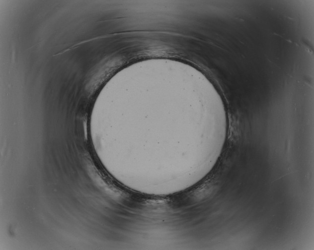 X0000103970061200810101318