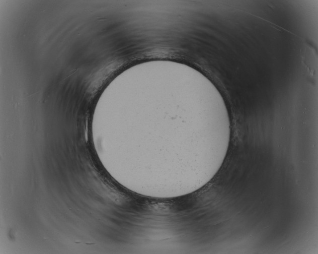 X0000103970062200810101318