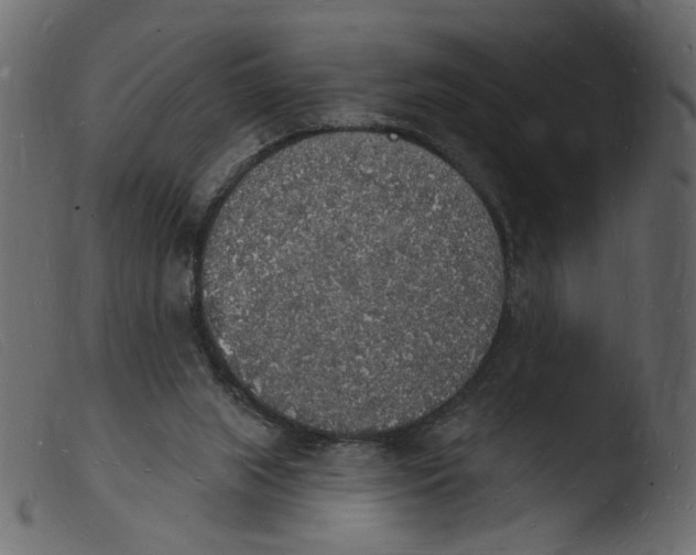 X0000103970063200810101318