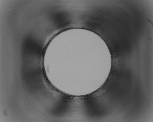 X0000103970064200810101318